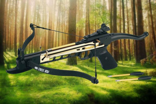 Pistolen Armbrust bei 4komma5.de