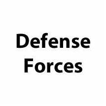Defense Forces Co2-Gewehre