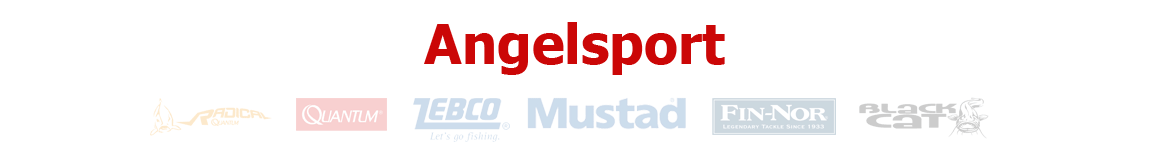 Angelsport