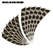 6-er Pack Hawk Naturfedern Shield