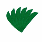 6-er Pack Hawk Naturfeder Streamline 2,5" Grün