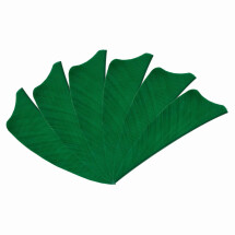 6-er Pack Hawk Naturfeder Shield 2,5" Grün