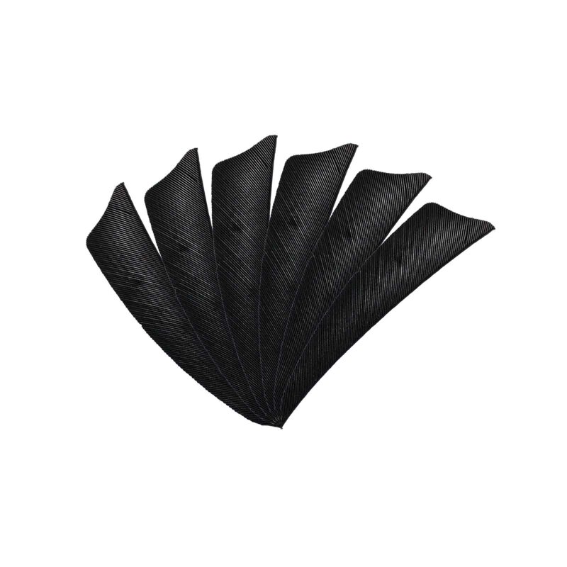 6-er Pack Hawk Naturfeder Shield 3" Schwarz
