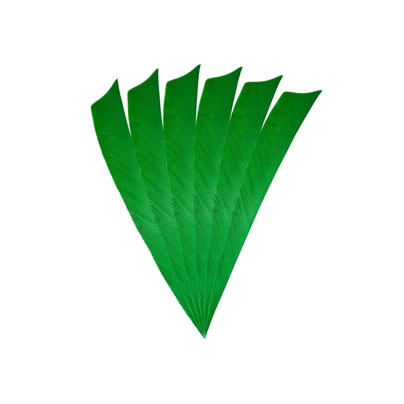 6-er Pack Hawk Naturfeder Shield 5" Grün