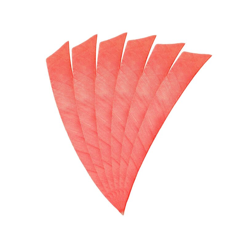 6-er Pack Hawk Naturfeder Shield 5" Hot Pink
