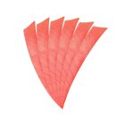 6-er Pack Hawk Naturfeder Shield 5" Hot Pink