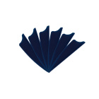 6-er Pack Hawk D2 TPU Shield Vanes 1,75" Dunkelblau