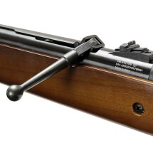 Kofferset Diana Federdruck Oktoberfestgewehr - Luftgewehr Kaliber 4,4 mm Rundkugeln (P18)
