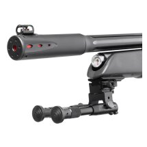 Gamo Arrow Pressluftgewehr 4,5 mm (P18) + 3-9x40 WR Zielfernrohr + Zweibein