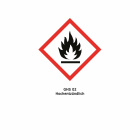 Walther Airsoft Premium Gas 750 ml