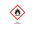 ASG ULTRAIR Medium Power Gas / Airsoft Gas 164 PSI - 570 ml
