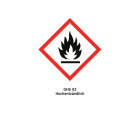 ASG ULTRAIR Light Power Gas / Airsoft Gas 135 PSI - 570 ml