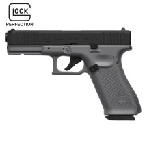 Modell II. Wahl - Glock 17 GEN5 Tungsten Gray...