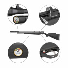 Modell II. Wahl - Diana Stormrider Schwarz Pressluftgewehr Kaliber 5,5 mm Diabolo inklusive Regulator (P18)