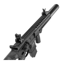 Modell II. Wahl - SIG SAUER MCX Co2-Gewehr Schwarz 4,5 mm Diabolo (P18)