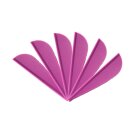 6-er Pack Arizona Vanes Elite Plastifletch EP-16  Lila