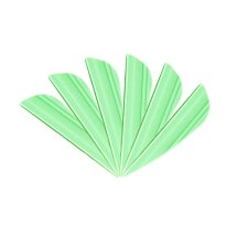 6-er Pack Arizona Vanes Plastifletch Max PM-16...