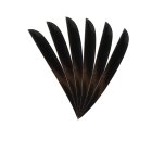 6-er Pack Trueflight Naturfedern Parabol 5" Schwarz