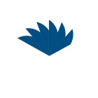 6-er Pack Bohning Plastikfedern/Vanes Blazer X2 Blau