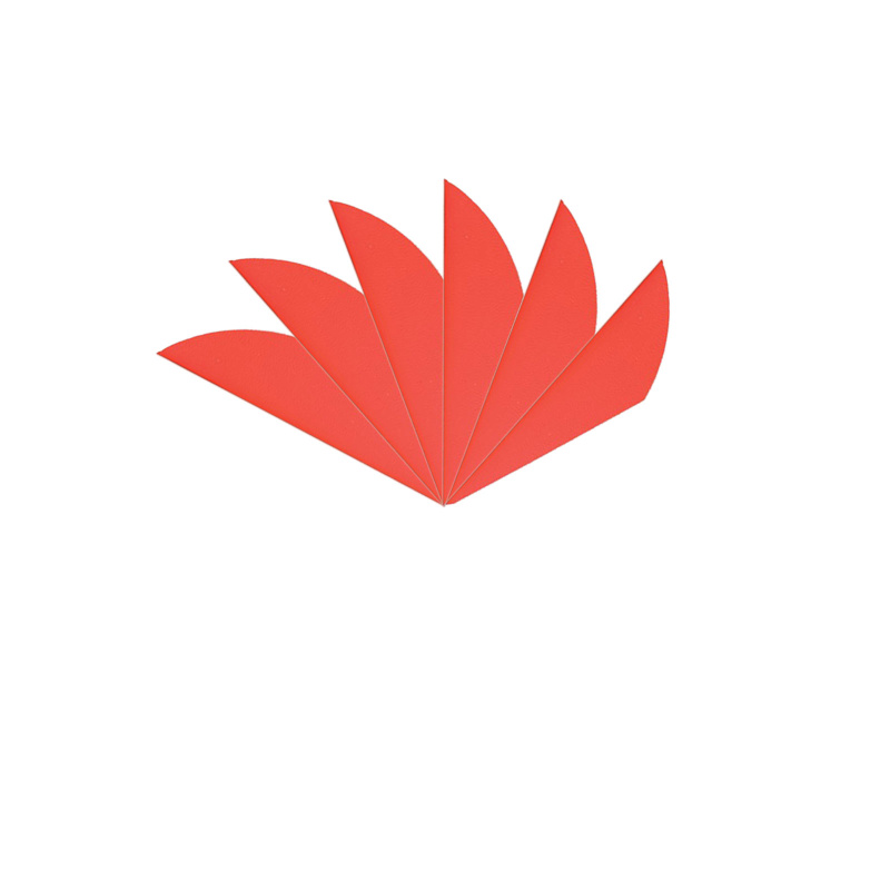 6-er Pack Bohning Plastikfedern/Vanes Blazer X2 Neon-Rot