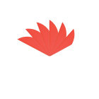 6-er Pack Bohning Plastikfedern/Vanes Blazer X2 Neon-Rot