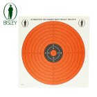 Bisley Zielscheiben Red Dayglow 50er Pack - 14 x 14 cm